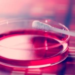 q-tip-taking-dna-analysis