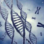 strands-of-dna