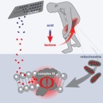 150901134944_1_540x360