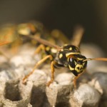 9f53fc02a698ddae709bcbb5043c7dec