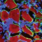 c2307b7fd7e069d3dc9ccf068118b584