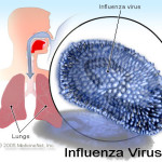 influenza_virus