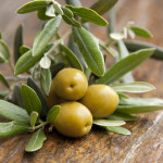 olives-and-olve-leaves-opt