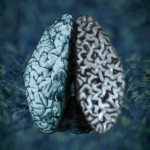 151021135616_1_900x600