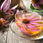 Herbal-Tea-echinacea-opt
