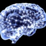 cervello_vitamina_D_salute_radicali_liberi_ossa_carenza_sole