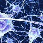 neuroni_123.jpg_415368877