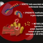 151106132933_1_540x360