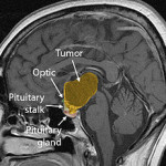 4571160792_27d28c0285_m