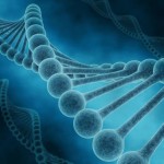 dna