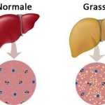 10157065_10151960373960633_1615331569_n-500x325