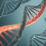dna-strands