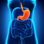stomach-and-esophagus