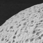 encapsulation-biomaterial