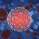 illustration-of-a-human-cancer-cell