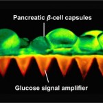 160314140741_1_540x360