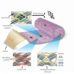 160314140743_1_540x360