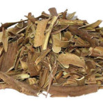 product_willow_bark