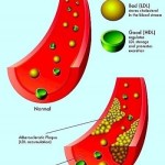 rob3000-Fotolia.com32-400x533