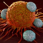 t-cells-attacking-cancer-cells