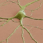 112972_web