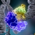 47b12d5bca0e53ec99f74d759633004d