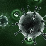 hepatitis-c-virus