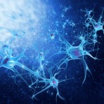 neurons_0