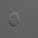 121155250-2b605bc7-8a93-4a7f-bd8c-08218b447aae