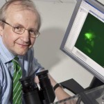 89d01939fruitdiscove