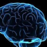 Ricerca-Cnr-proteina-killer-attiva-morte-neuroni-in-malati-Parkinson_h_partb