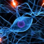 malattie-neurodegenerative-1728x800_c