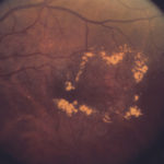 7544656812_fd78234457_o_copy