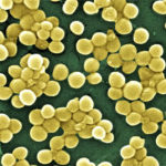 7716025510_f73e0a43ed_o