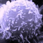 cancercells