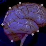 immune-system-social-behavior-neurosciencenews