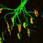 160919094528_1_540x360