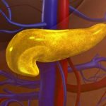 howgutmicrob