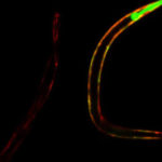 161014152322_1_540x360