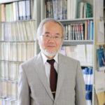 Ohsumi, a professor in Tokyo Institute of Technology is seen at his laboratory office in Yokohama