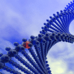 dna_1_47321