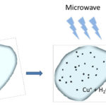 fig-1-wei-chen