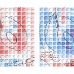 mit-mapping-serotonin_0