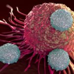 immune-cells-attacking-cancer