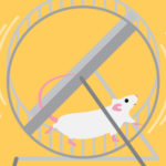 mouse-on-wheel-700x467