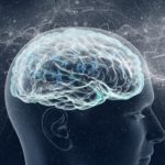 neural580