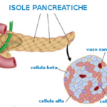 nmgectodermocelulaslangerhans01400