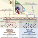 1-s2-0-s1550413116305538-fx1