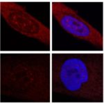 161108125820_1_540x360