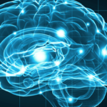 neuroscience_11-17-16-10-08-26